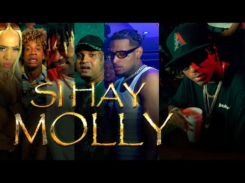 Mc Maicol ❌ Si Hay Molly ❌ (Video Oficial) 4K