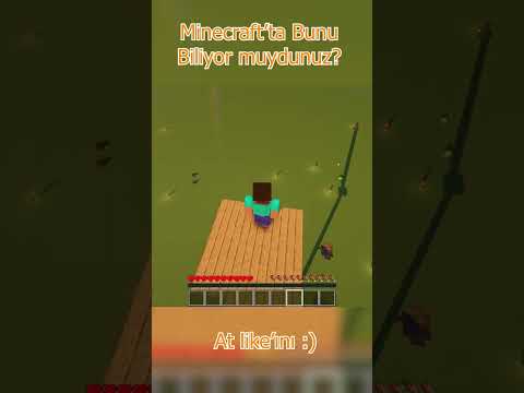 Did You Know This in Minecraft: How to Jump from High Without Taking Damage?