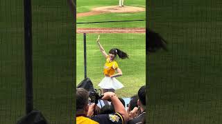 【Passion Sisters】#芊芊 ドミニカVS中信兄弟@桃園棒球場 20241110 #台湾チア #cheerdance #cheerleading #passionsisters