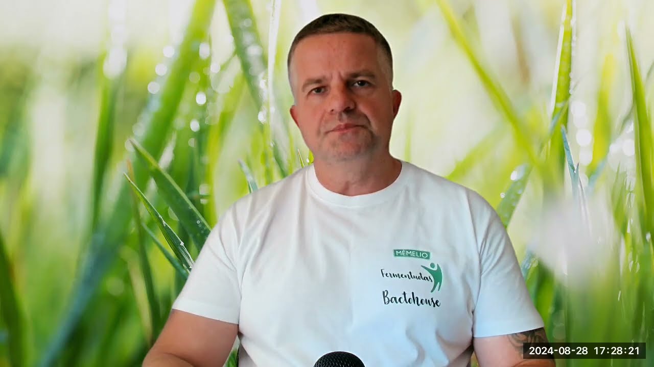 Išmanieji elektros skaitikliai: 2024 08 28 kreipimasis į Energetikos ministeriją ir ESO