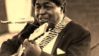 Johnny Shines-Two Steps To Hell