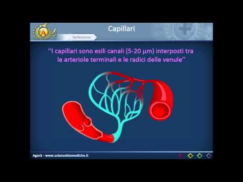 Intervento chirurgico alla prostata dicembre 2016 Litotrissia laser della prostata
