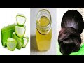 Aloe Vera Oil Homemade Aloe Vera Oil Aloe Vera Hair Growth Oil How To Make Aloe Vera Oil At Home