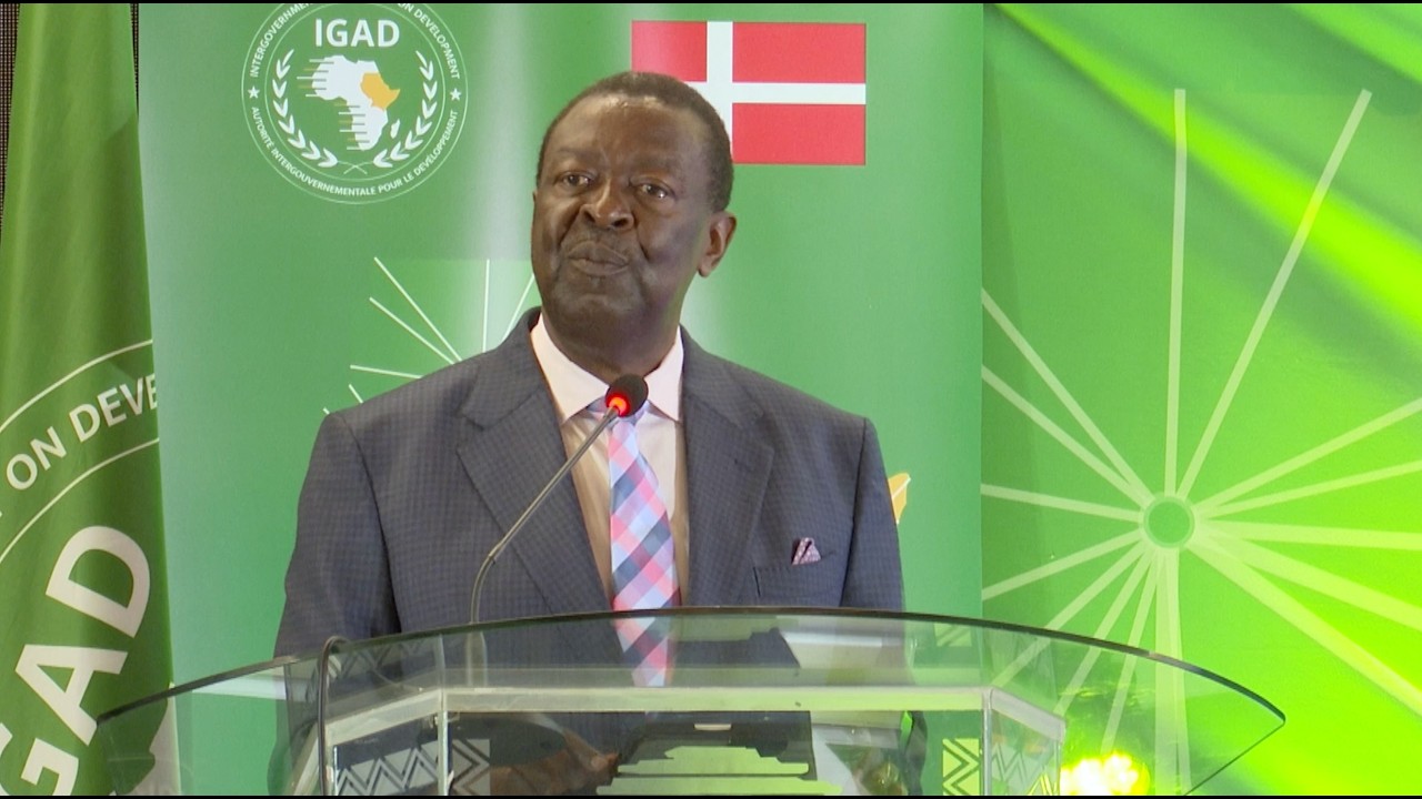 Full speech of Prime Cabinet Secretary, Dr Musalia Mudavadi - IGAD Mediation Reflection Conference