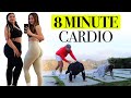 8 Minute Beginners Fat Burning HITT Cardio