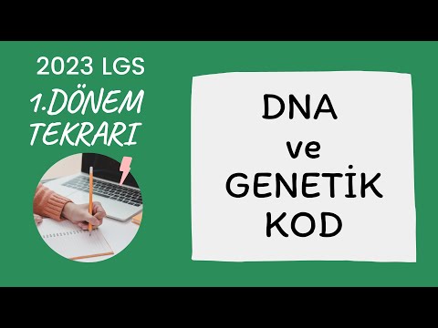 DNA VE GENETİK KOD - 2023 LGS - 1.DÖNEM TEKRARI