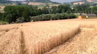 preview picture of video '.Crop circles near Turin (Italy) 45.08952 8.10467'