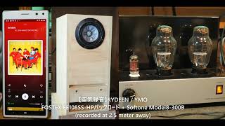 【空気録音】RYDEEN / YMO(Spotify)で本領発揮～フォステクスFE108SS-HP+バックロードでスカッと爽快な気分に (recorded at 2.5 meter away)