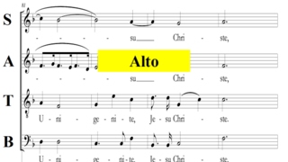 Vivaldi - Gloria - RV589  - 7 Domine Fili - Alto