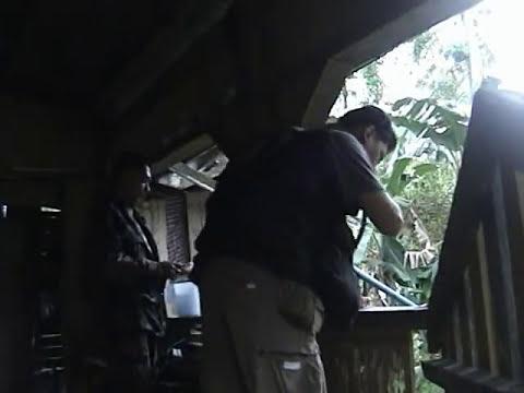 THE STORY OF ALBARKA