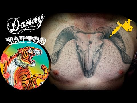 Tatuagem Cranio de Bode - Goat Skull - Danny Tattoo