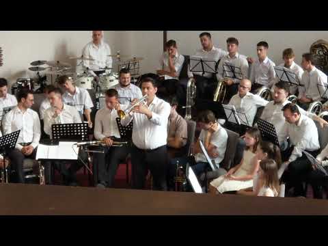 Corneliu Meici -Cum doreste un cerb Izvor de apa