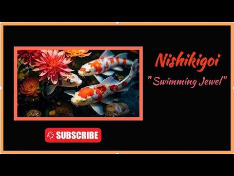 Nishikigoi!! The Swimming Jewel. So beautiful!! #resin