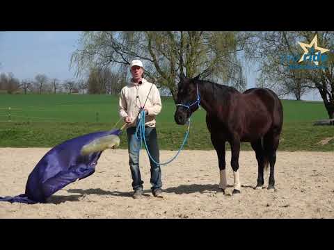 TRAILER Lehrserie "Seilarbeit Basic"