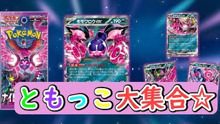 【ポケカ開封 】よいこのみんな集まれ～ともっこパックだよ～　ナイトワンダラー　ポケモンカード