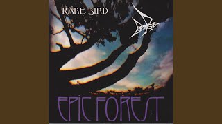 Title No. 1 Again (Birdman)