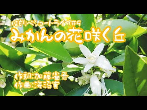 教養学科 『みかんの花咲く丘』海沼実／加藤省吾＿2021ショートライブ#9