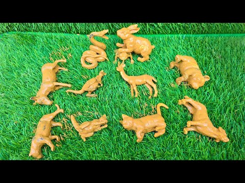 Rabbit’s Run and Snake’s Path: An Epic Farm and Jungle Animals Challenge