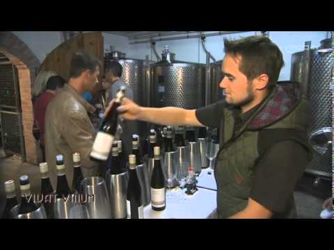 VIVAT VINUM 15. bis 31. März 2014 - DAF