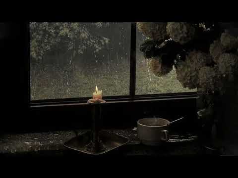 focus on your book to forget your sadness - dark academia playlist, piano with rain