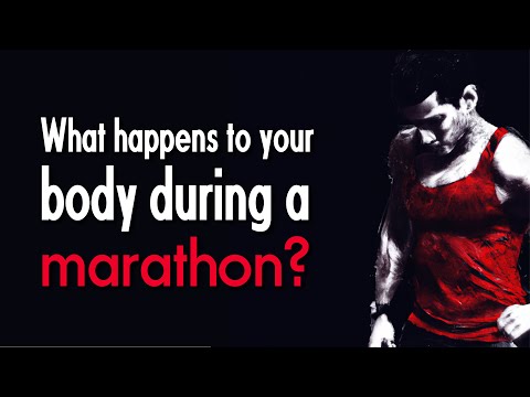 What Happens Your Body During a Marathon?