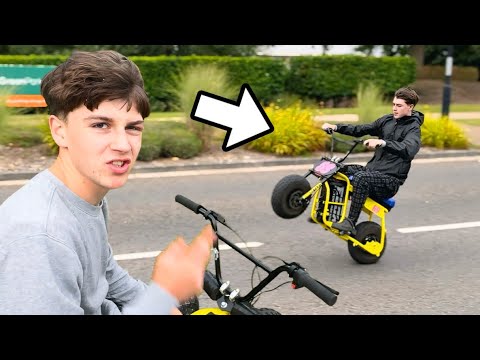 Wardy Extra  and Wardy