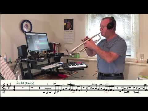 All I Want For Christmas Trumpet Cover