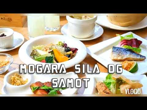 KINSA BA SILA... BISAYA VERSION KARAOKE BY.BY JANINE BERDIN