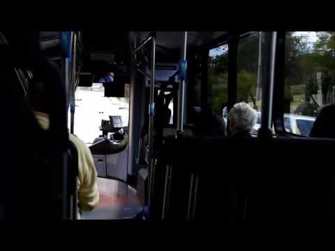 Forest Coach Lines (Terrey Hills) Volvo B7RLE Euro 5 / Bustech VST Mk IV, m/o 4151