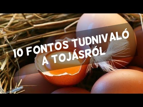 , title : 'Tojológia - a tojásról'