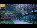 Margazhi Poove MAY MAADHAM A R Rahman 5 1 SURROUND BASS BOOSTED SVP Beats
