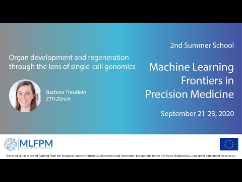 2nd MLFPM Summer School: Barbara Treutlein