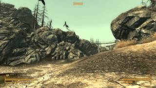 Fallout 3 bugs