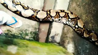 Download lagu Status WhatsApp ngagetin mp3