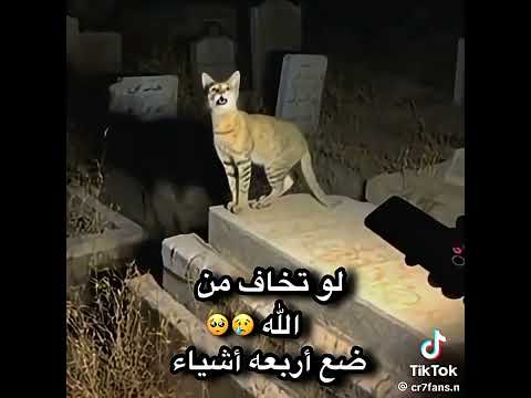 لو تخاف من لله 🥲🥺 الله ضع أربعة أشياء