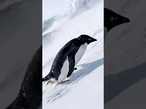 Lavage Premium intérieur ou extérieur pour voitures chez TOTO bike and car wash (jusqu'à 43% de remise) - Image 7