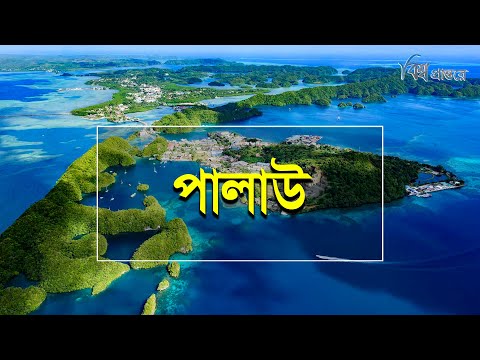 পালাউ এর মুদ্রার নাম | পালাউ যেতে কত টাকা লাগে | পালাউ বেতন কত