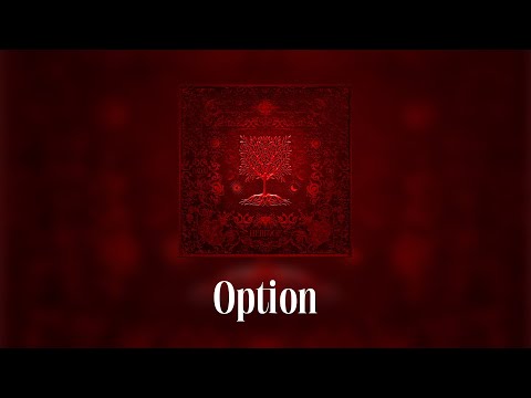 Dadju & Tayc - Option (Lyrics video)