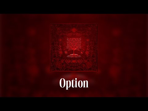 Video thumbnail for Option