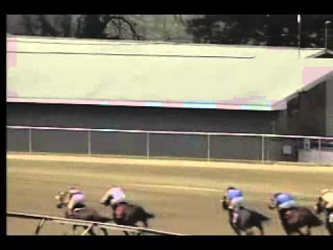 Pimlico 04/13/14 race 1