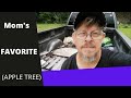 Variety Spotlight ANNA APPLE TREE A Perfect 1st Selection For Any Southern FOOD FOREST