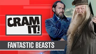 From Harry Potter To Fantastic Beasts CRAM IT