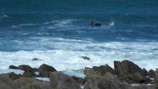 preview picture of video 'LAMPAUL-PLOUDALMEZEAU - surfeurs dans les déferlantes de l'Ile du Bec'