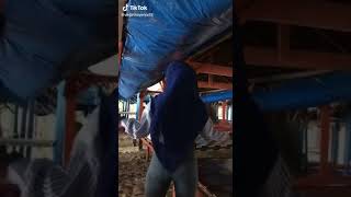 Download lagu Cewe Cantik Jilbab Pamer anu🤣🤣 mp3 Download lagu Cewe Cantik Jilbab Pamer anu🤣🤣 mp3