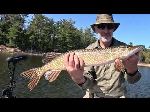 7 Months in the Wilderness Hunting and Fishing