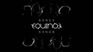 EQUINOX - Bones (Acapella - Vocals Only)