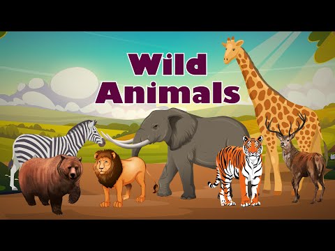 Wild Animals Names for Kids | Learn Animal Names & Sounds with Fun Animation
