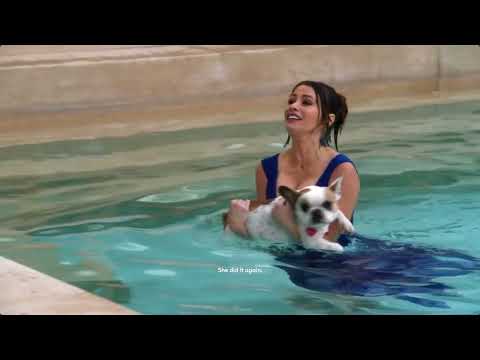 Best of...Modern Family | Thanks for the dog towel, Jay !!