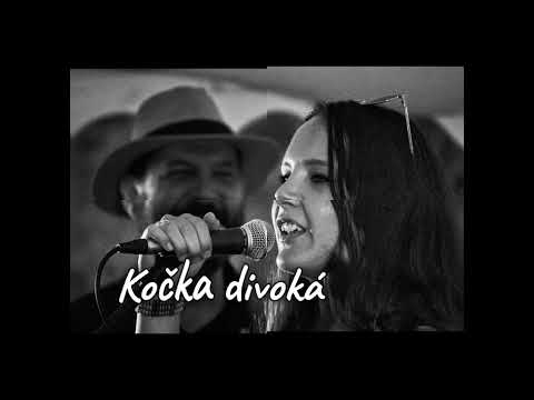 Blue Head - Blue Head - Kočka divoká