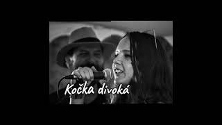 Video Blue Head - Kočka divoká